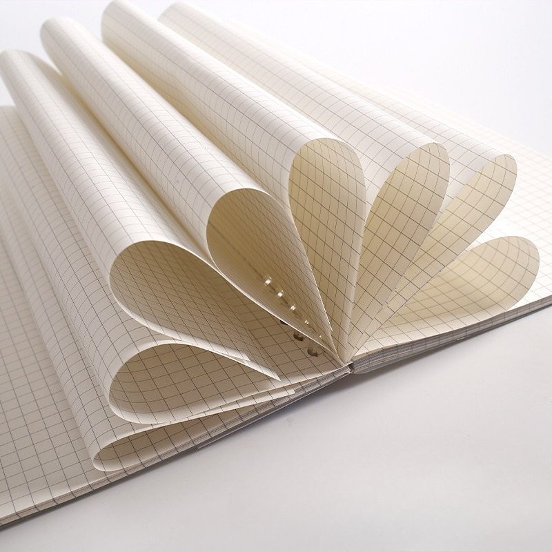 A4 B5 A5 Loose Leaf Notebook R - A5 Spiral Dotted Grid Notebook review and price